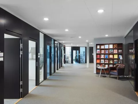 Un plafond acoustique dans un bureau